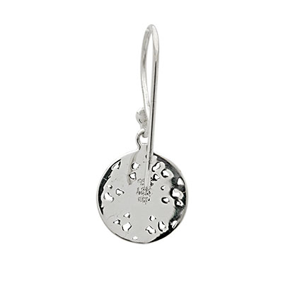 Wholesale Silver Earring - SEG324